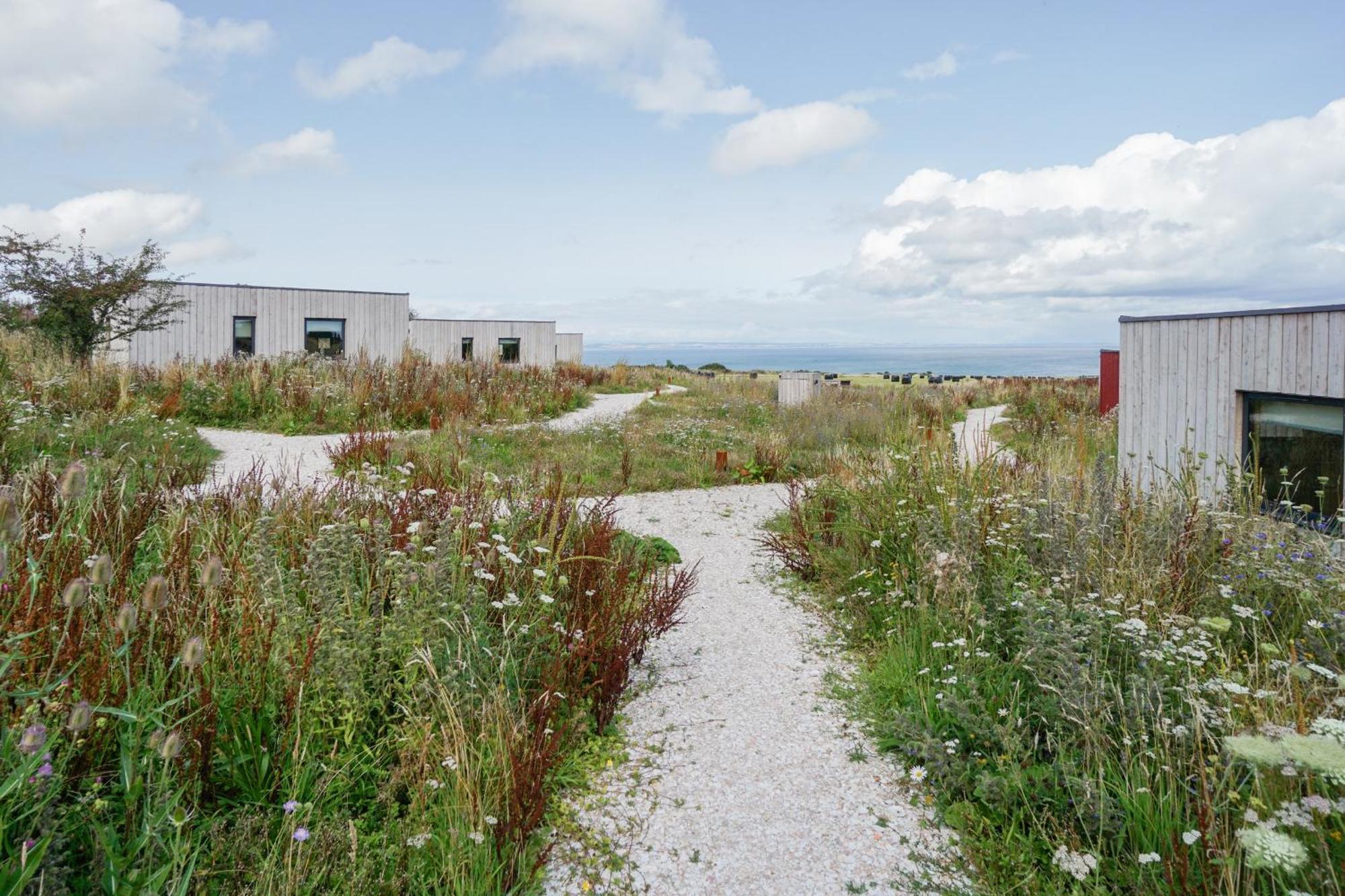 Rustic Cabins, Sea Views From Rewilded Farm With Highland Cows St Andrews Buitenkant foto
