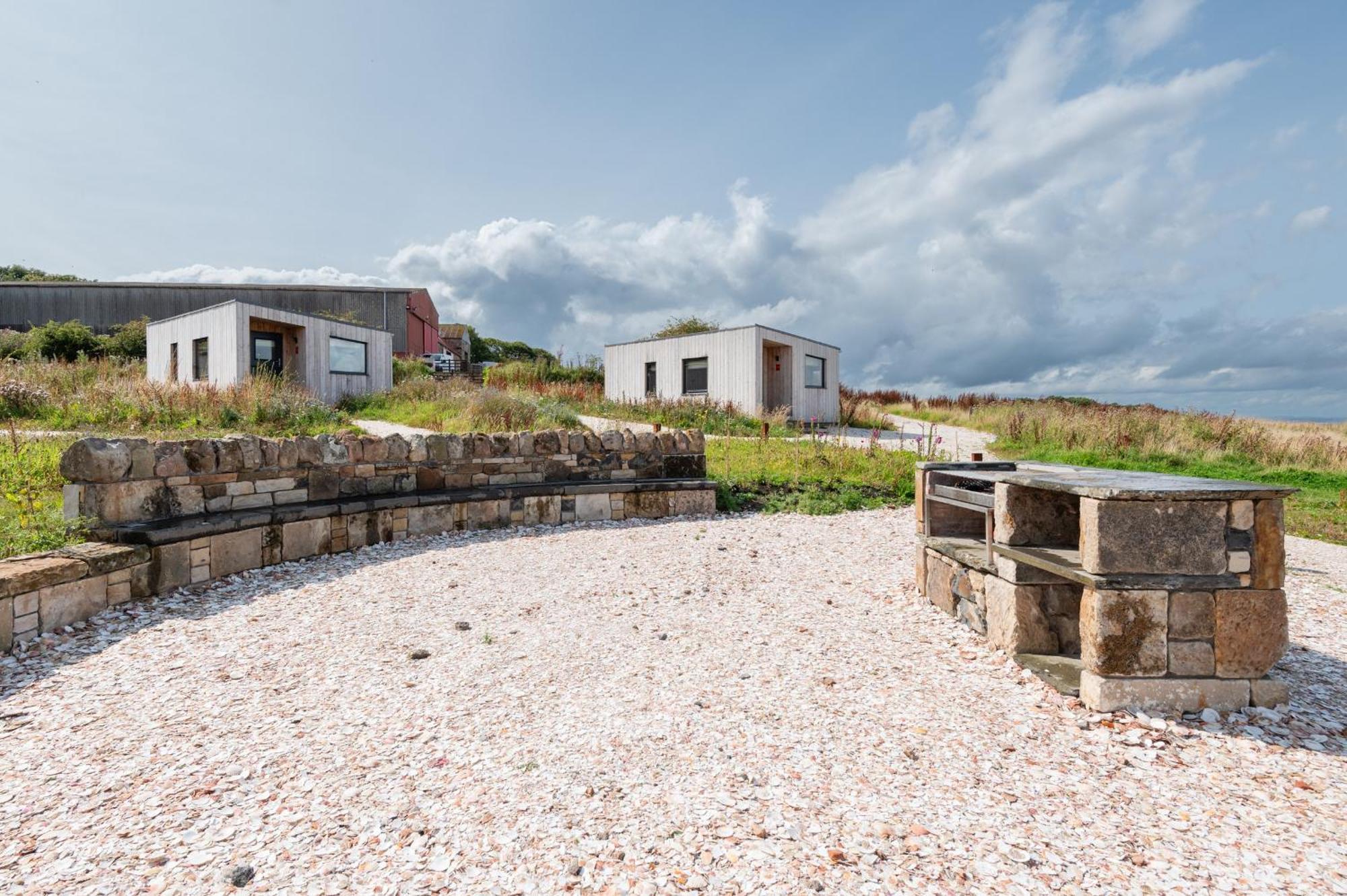 Rustic Cabins, Sea Views From Rewilded Farm With Highland Cows St Andrews Buitenkant foto